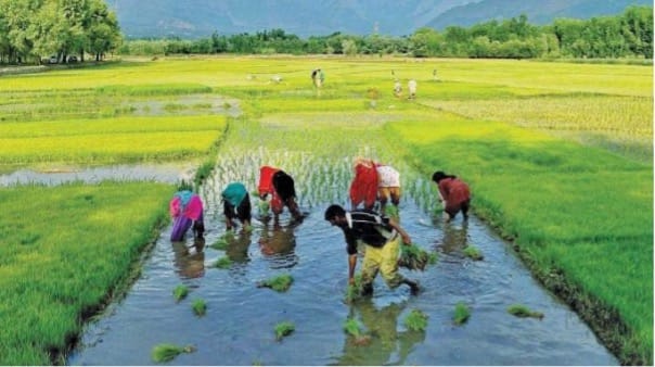 नई कृषि नीति